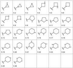 Figure imgf000007_0002