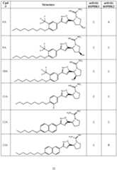 Figure imgf000033_0001