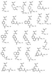 Figure 0007410065000012