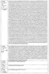 Figure JPOXMLDOC01-appb-T000003