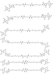 Figure PCTCN2021139314-appb-000055