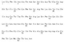 Figure 107118828-A0305-02-0183-233