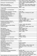 Figure imgf000136_0001