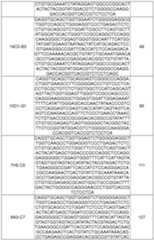 Figure imgf000166_0001