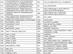 Figure imgf000065_0001