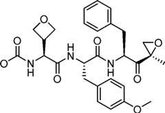 Figure AU2014240122B2_D0055
