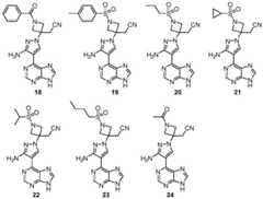 Figure BDA0002953599680000261