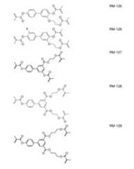 Figure 2024079817000133