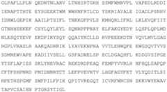 Figure 112019094446023-pat00293