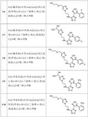 Figure BDA0002356256440000041