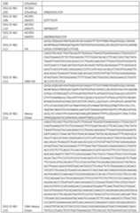 Figure imgf000100_0001