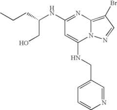 Figure US07119200-20061010-C01787