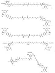 Figure 112016067511405-pct00506