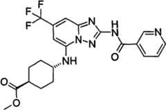 Figure GPA00001035513101023