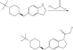 Figure US10166250-20190101-C00083