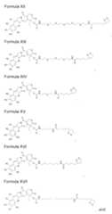 Figure imgf000009_0001