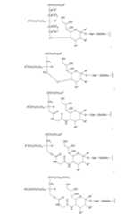 Figure 112009026250918-PCT00050