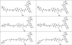 Figure PCTCN2022073822-appb-100171