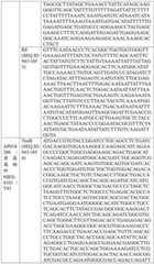 Figure BDA0004033970230005311