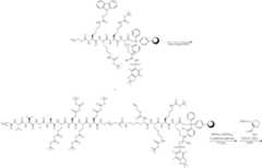 Figure US12122811-20241022-C00002