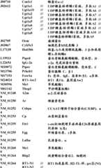 Figure BDA0000057170160000551