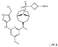 Figure imgf000235_0001