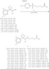 Figure US08604244-20131210-C00026