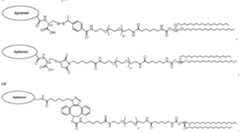 Figure imgf000175_0003