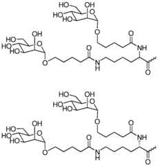 Figure imgf000045_0002