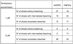 Figure imgf000106_0001