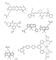 Figure imgf000033_0001