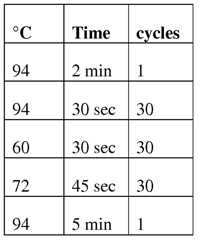Figure imgf000109_0001