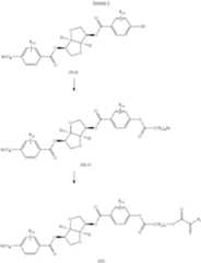 Figure US08388860-20130305-C00009