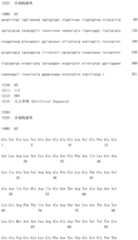 Figure IDA0002581779080000701