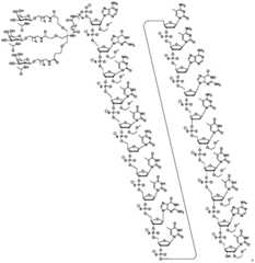 Figure BDA0003018192690001781