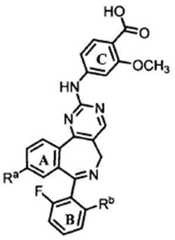 Figure 112011055510529-pct00040