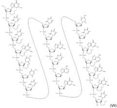 Figure imgf000033_0001