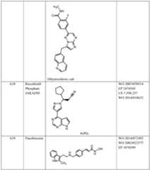 Figure imgf000301_0001