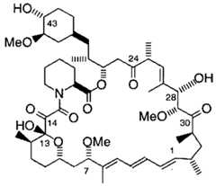 Figure imgf000078_0001