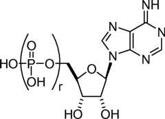 Figure AU2019202835A1_D0064