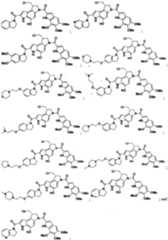 Figure imgf000117_0001