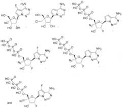 Figure imgf000172_0001