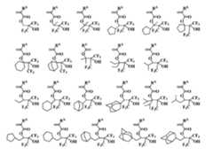 Figure JPOXMLDOC01-appb-C000041