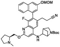 Figure BDA0003993773060002532