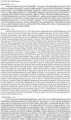 Figure BDA0003508968760001311