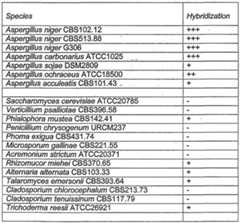 Figure imgf000067_0001