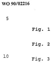 Figure imgf000019_0001