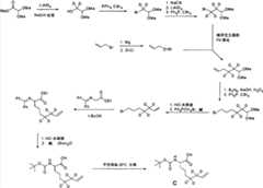 Figure BPA00001530935300731