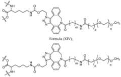 Figure imgf000025_0002