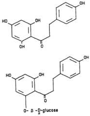 Figure imgf000006_0001